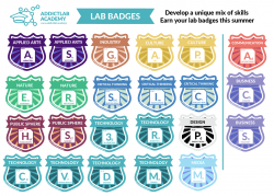 Badge Reward System for Educational purposes.